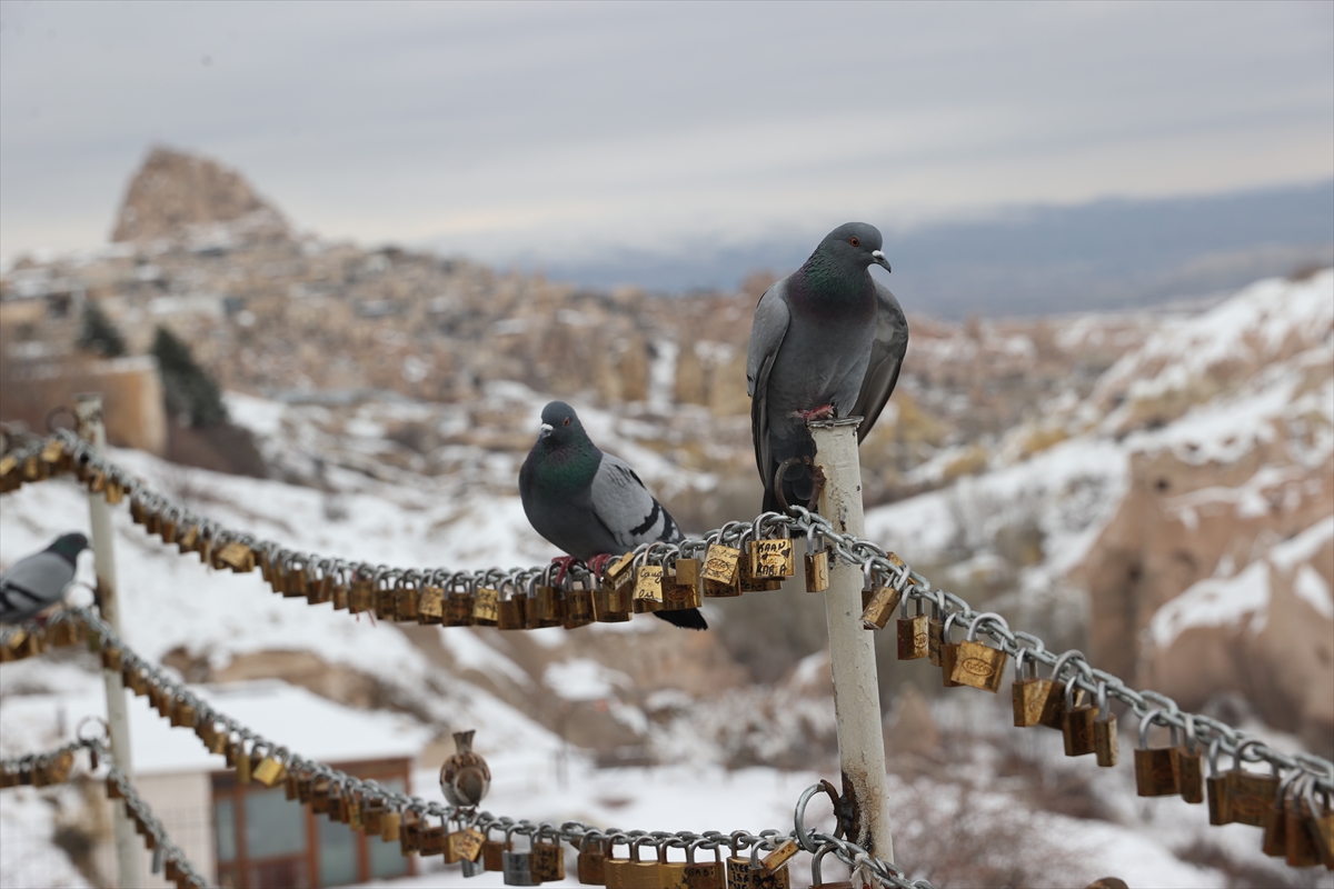 A A 20260115 40263423 40263419 K A P A D O K Y A D A K I P E R I B A C A L A R I K A R Y A G I S I N I N A R D I N D A N B E Y A Z O R T U Y L E K A P L A N D I