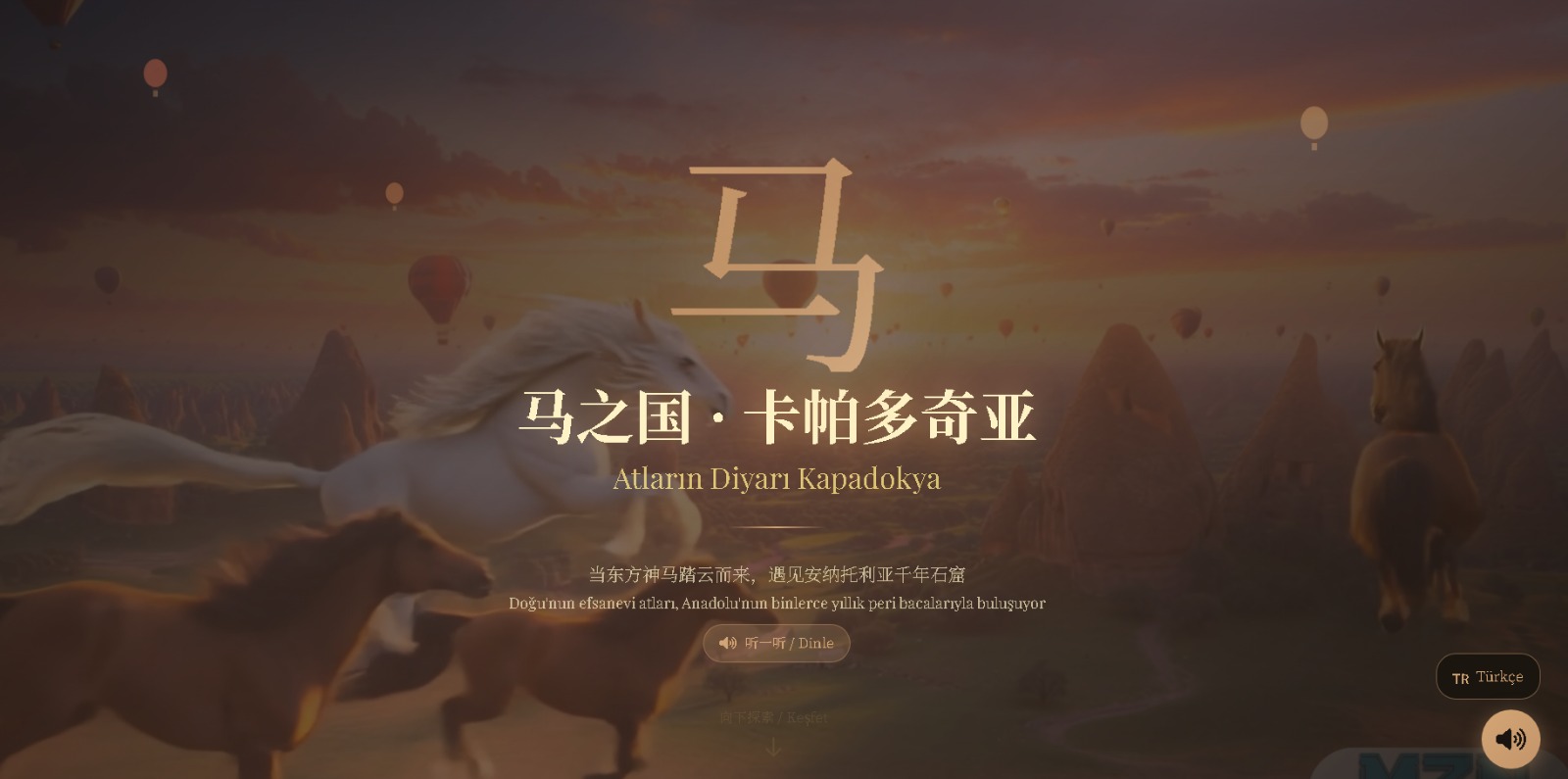 Whatsapp Image 2026 01 11 At 11.44.03