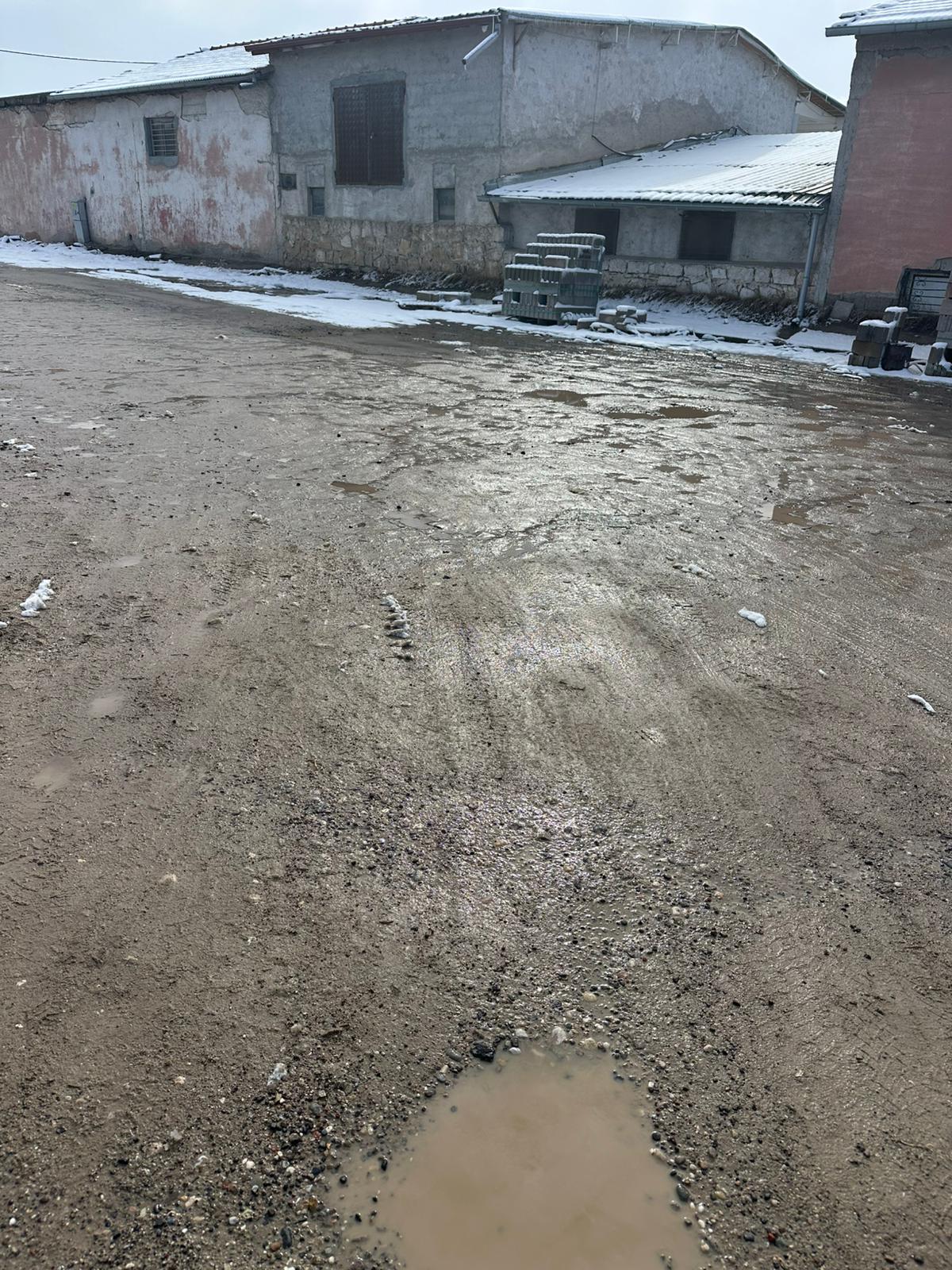 Whatsapp Image 2026 01 17 At 13.53.25(1)