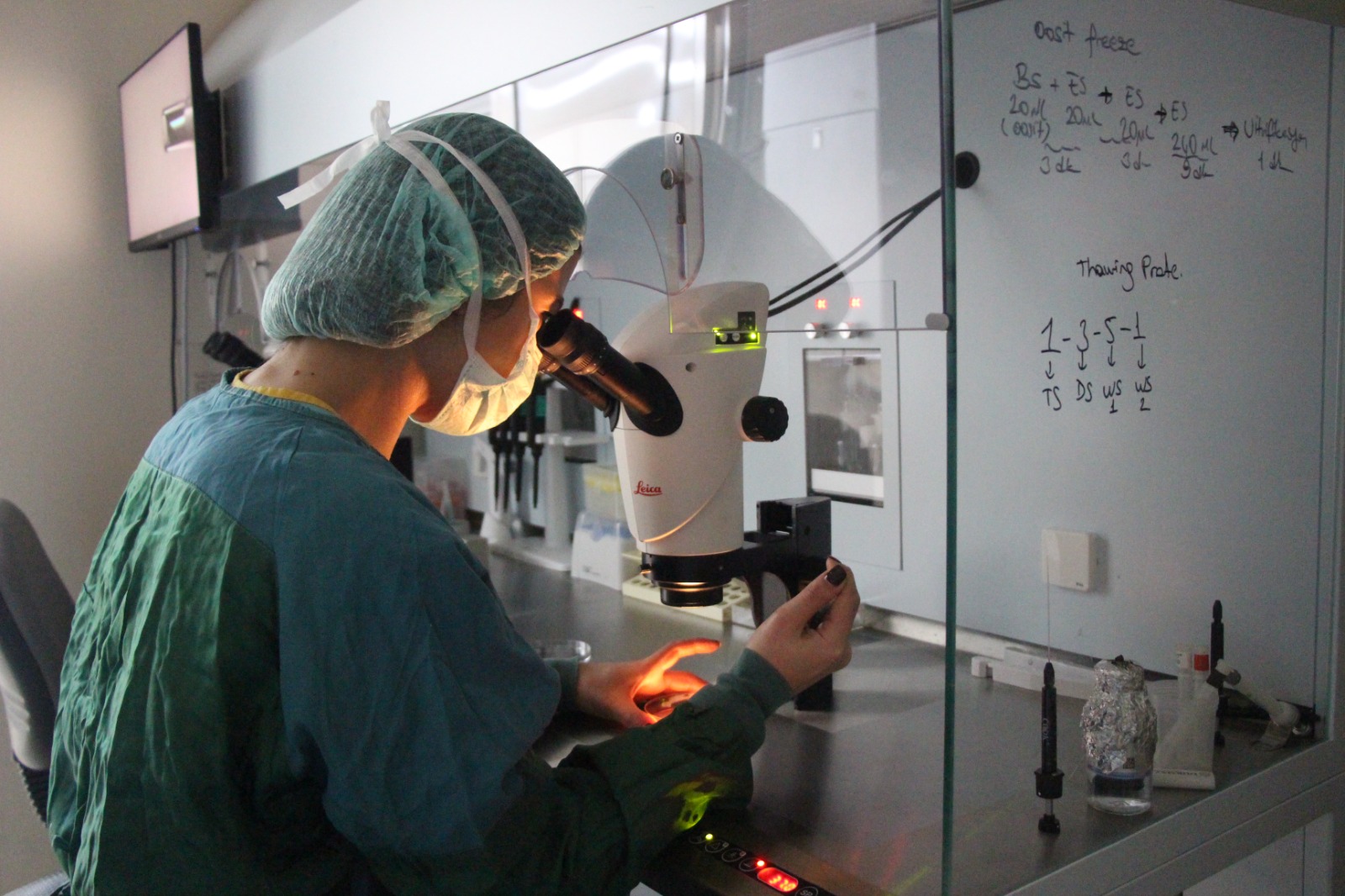 Whatsapp Image 2026 01 23 At 15.57.11 (3)