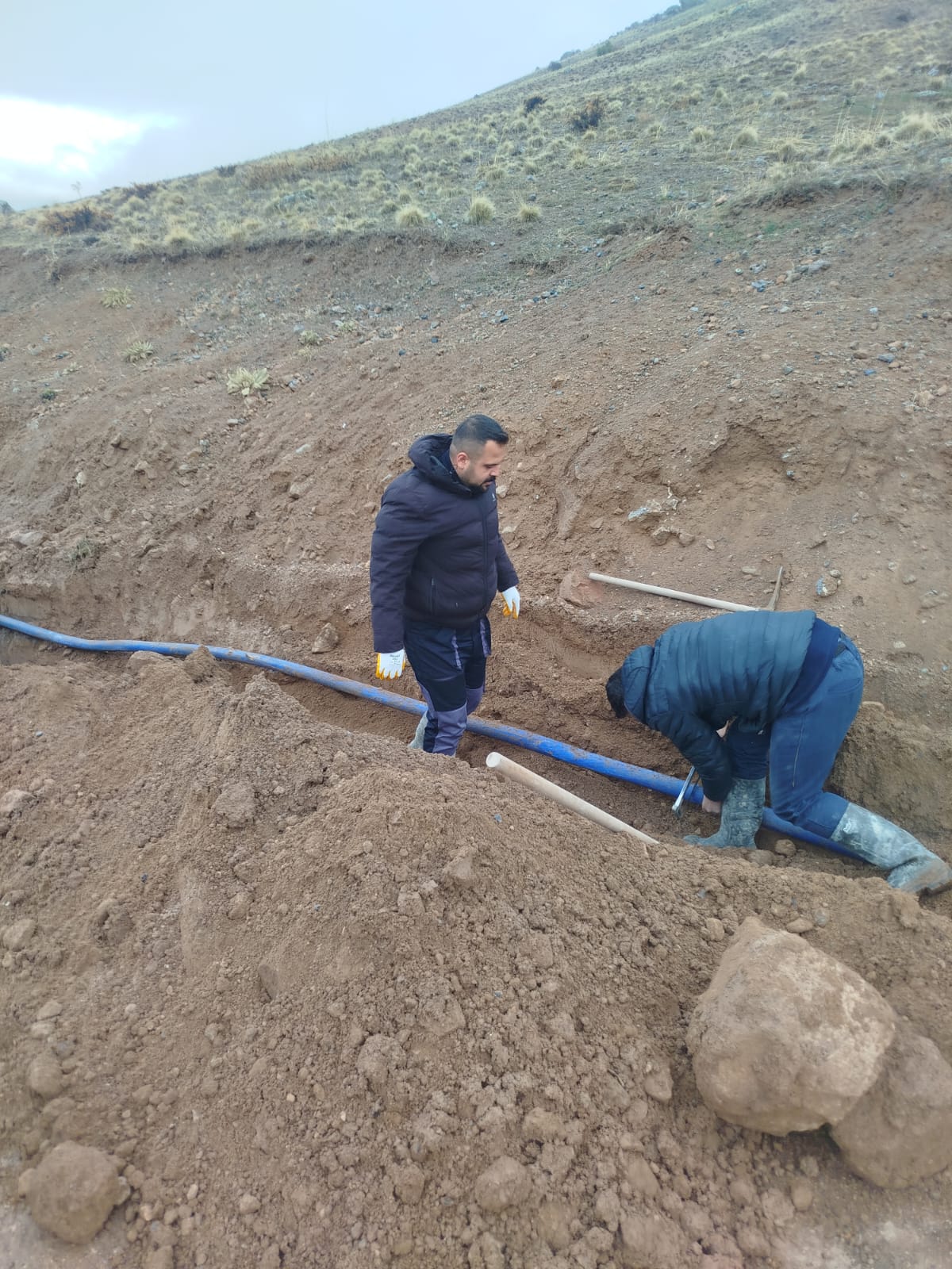 628523036 902162419118634 6704377644149646526 N