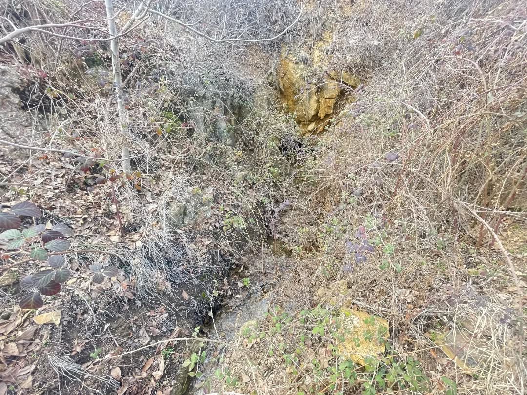 639698511 18193025491360042 1682566299191917587 N