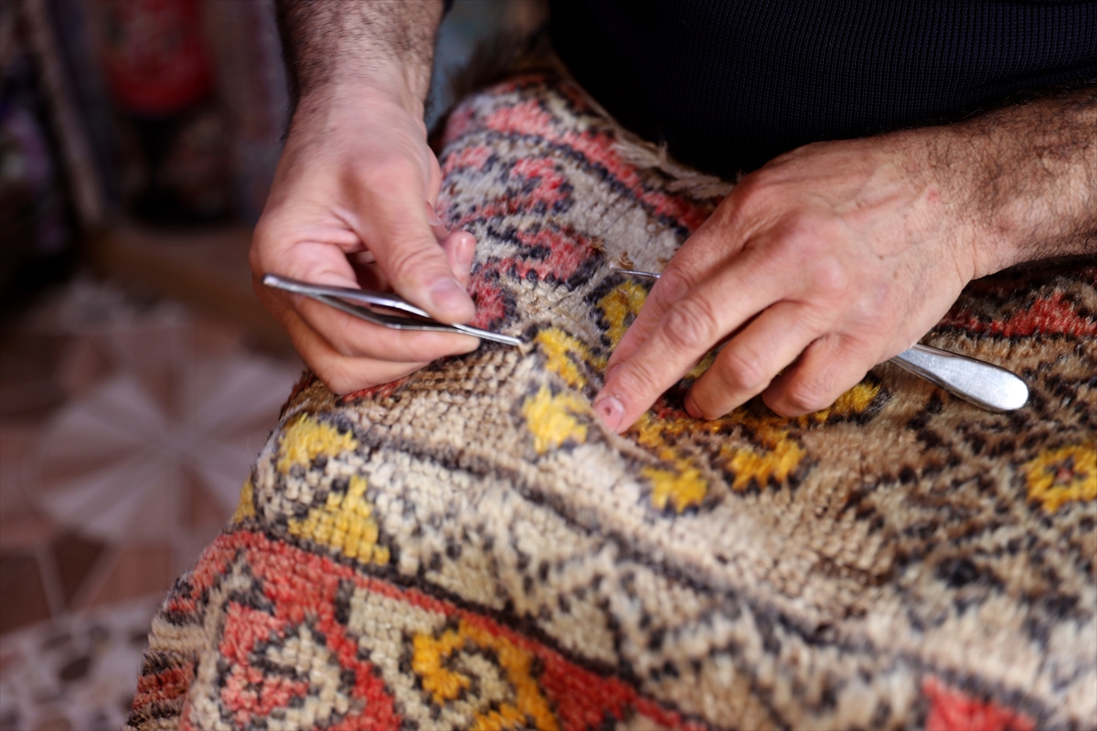 A A 20260215 40559908 40559904 E S K I H A L I V E K I L I M L E R I O N A R A N S U L E Y M A N U S T A G E R I D O N U S U M E K A T K I S A G L A Y I P K U L T U R U Y A S A T I Y O R