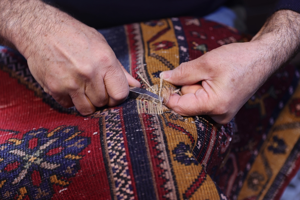 A A 20260215 40559908 40559905 E S K I H A L I V E K I L I M L E R I O N A R A N S U L E Y M A N U S T A G E R I D O N U S U M E K A T K I S A G L A Y I P K U L T U R U Y A S A T I Y O R