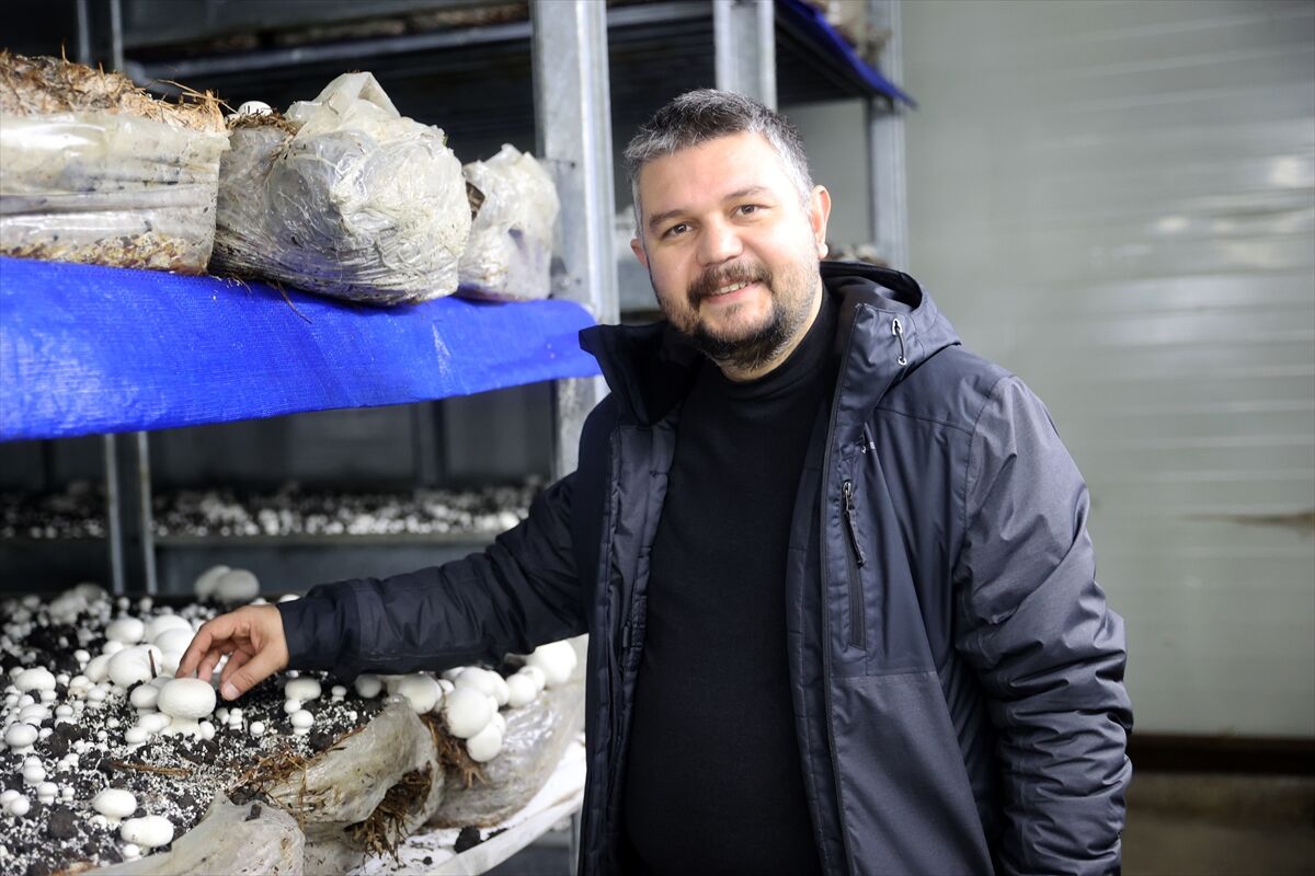 A A 20260225 40660584 40660582 N E V S E H I R D E G I R I S I M C I D E V L E T D E S T E G I Y L E K U R D U G U T E S I S T E G U N D E 2 T O N M A N T A R U R E T I Y O R