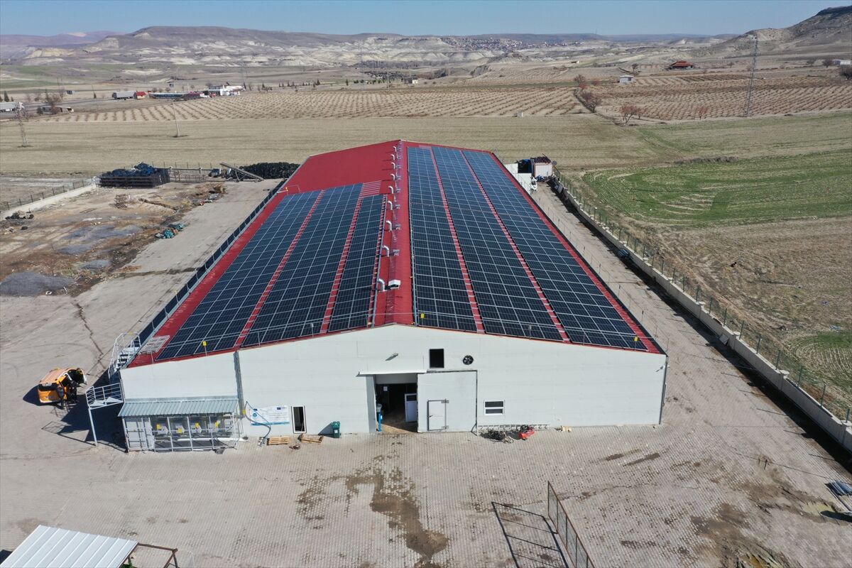 A A 20260225 40660584 40660583 N E V S E H I R D E G I R I S I M C I D E V L E T D E S T E G I Y L E K U R D U G U T E S I S T E G U N D E 2 T O N M A N T A R U R E T I Y O R