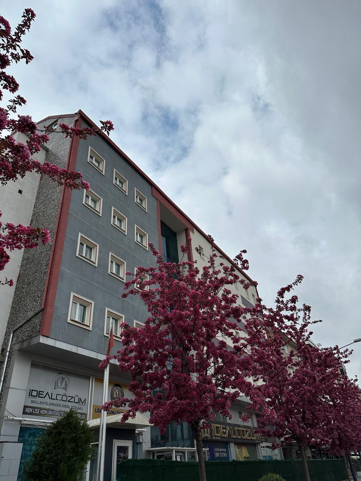 Whatsapp Image 2026 02 03 At 11.02.24.Jpeg3