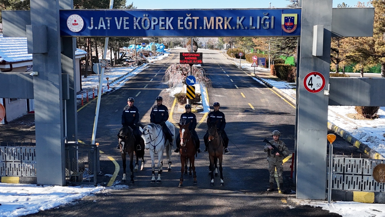 Whatsapp Image 2026 02 03 At 12.48.33 (3)