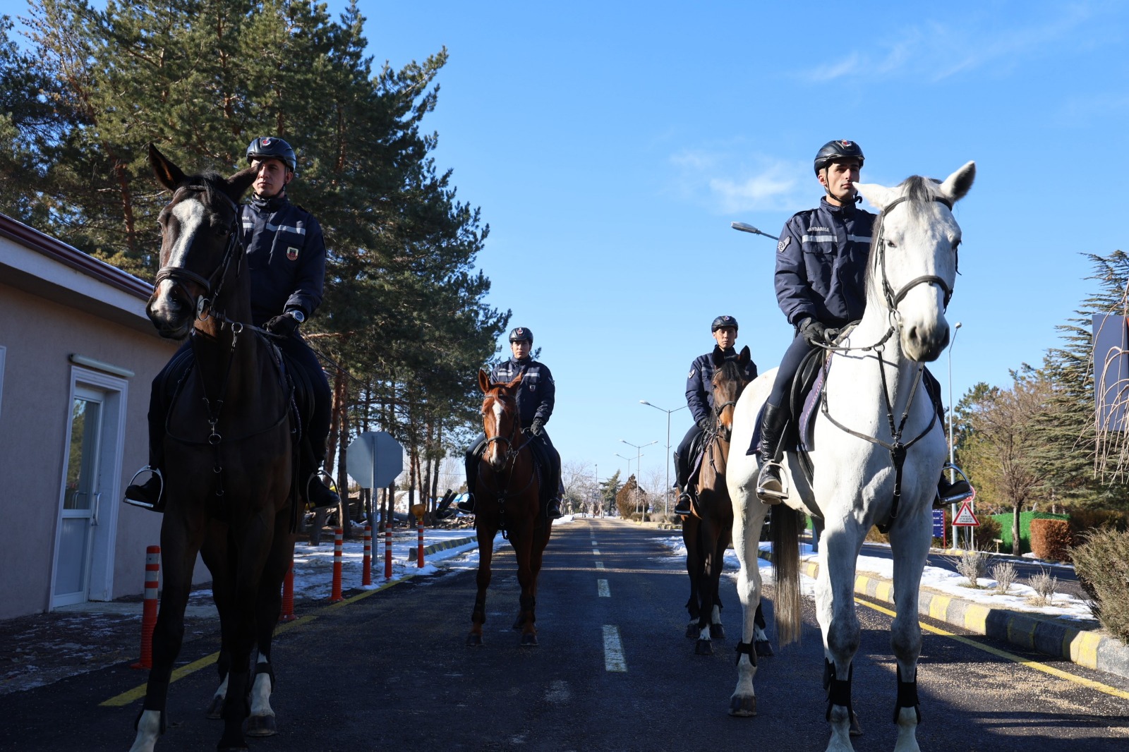 Whatsapp Image 2026 02 03 At 12.48.33 (5)