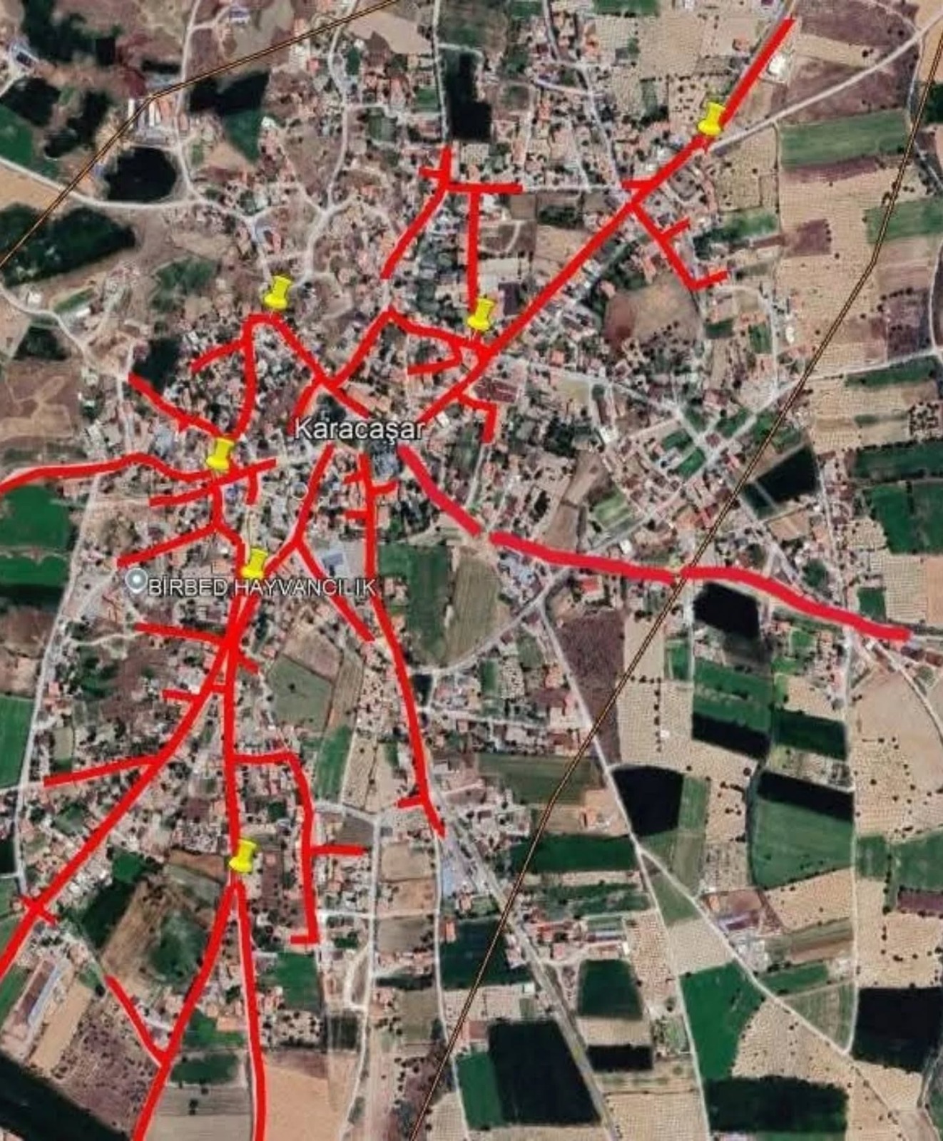 Whatsapp Image 2026 02 05 At 11.34.24