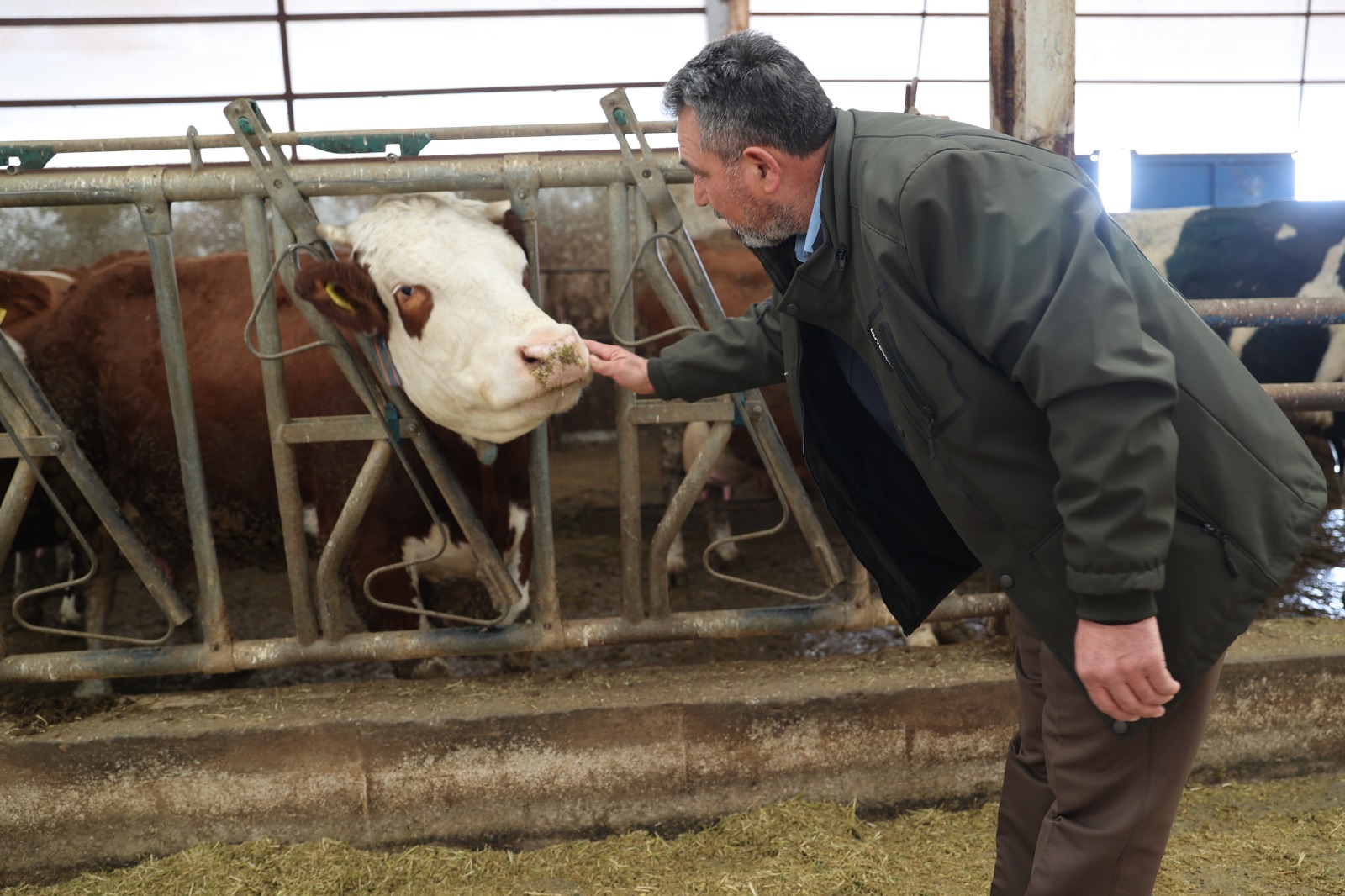 Whatsapp Image 2026 02 06 At 12.49.18 (2)