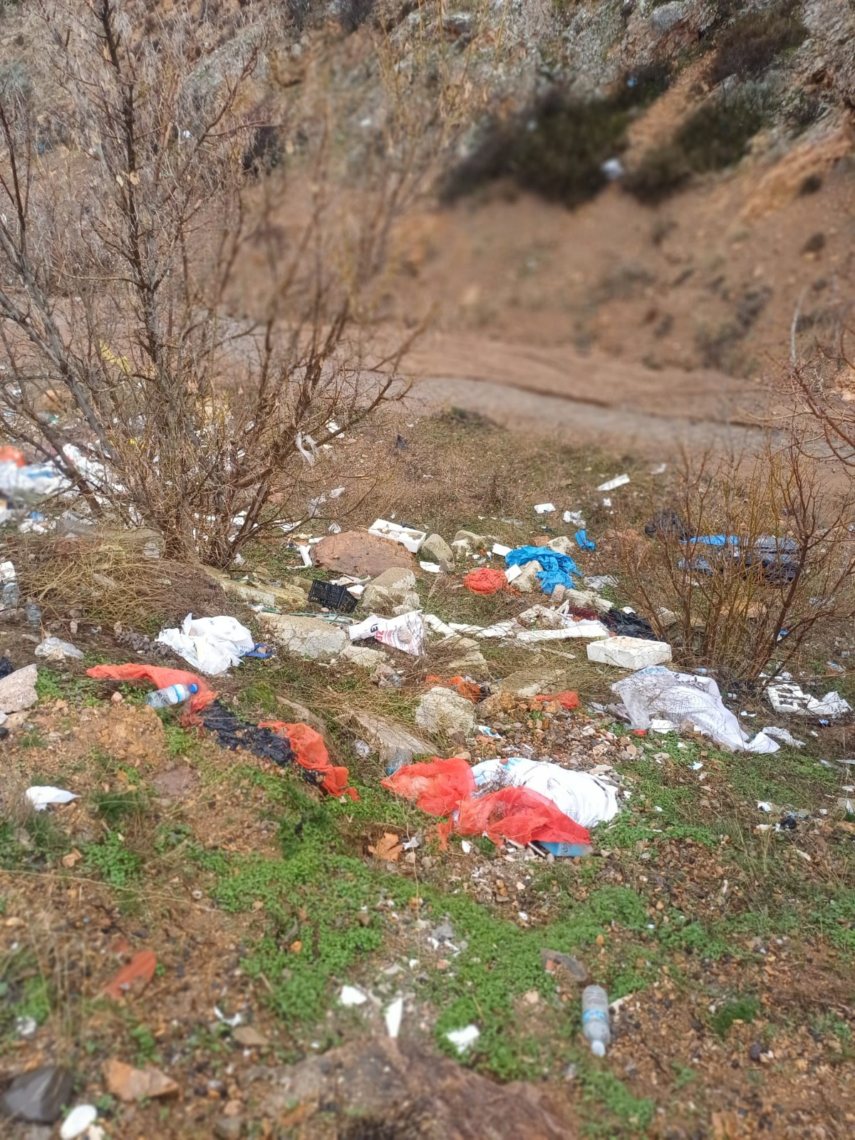 Whatsapp Image 2026 02 13 At 10.38.19(10)