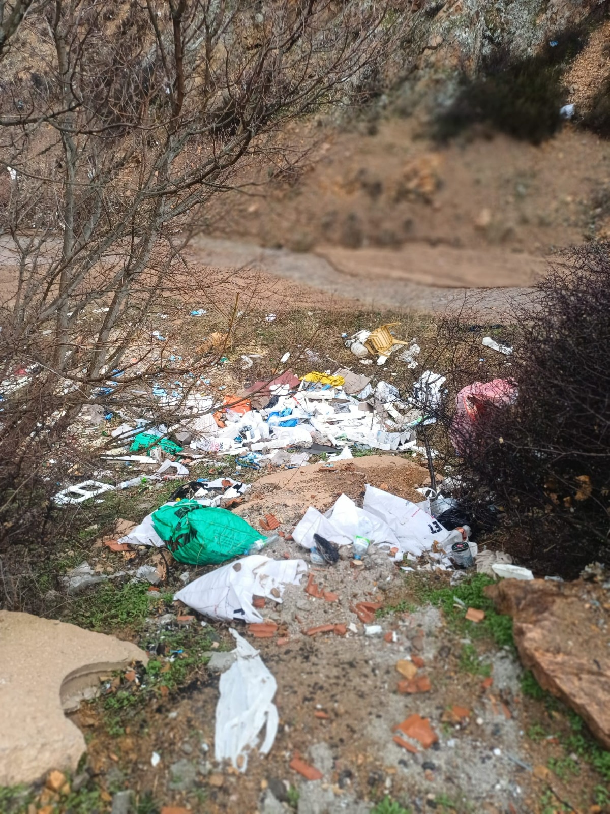 Whatsapp Image 2026 02 13 At 10.38.19(2)