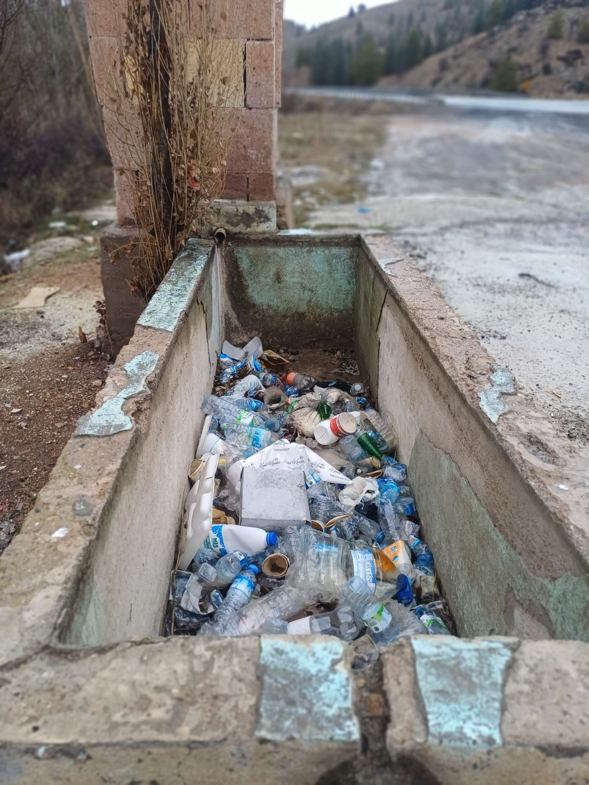 Whatsapp Image 2026 02 13 At 10.38.19(3)