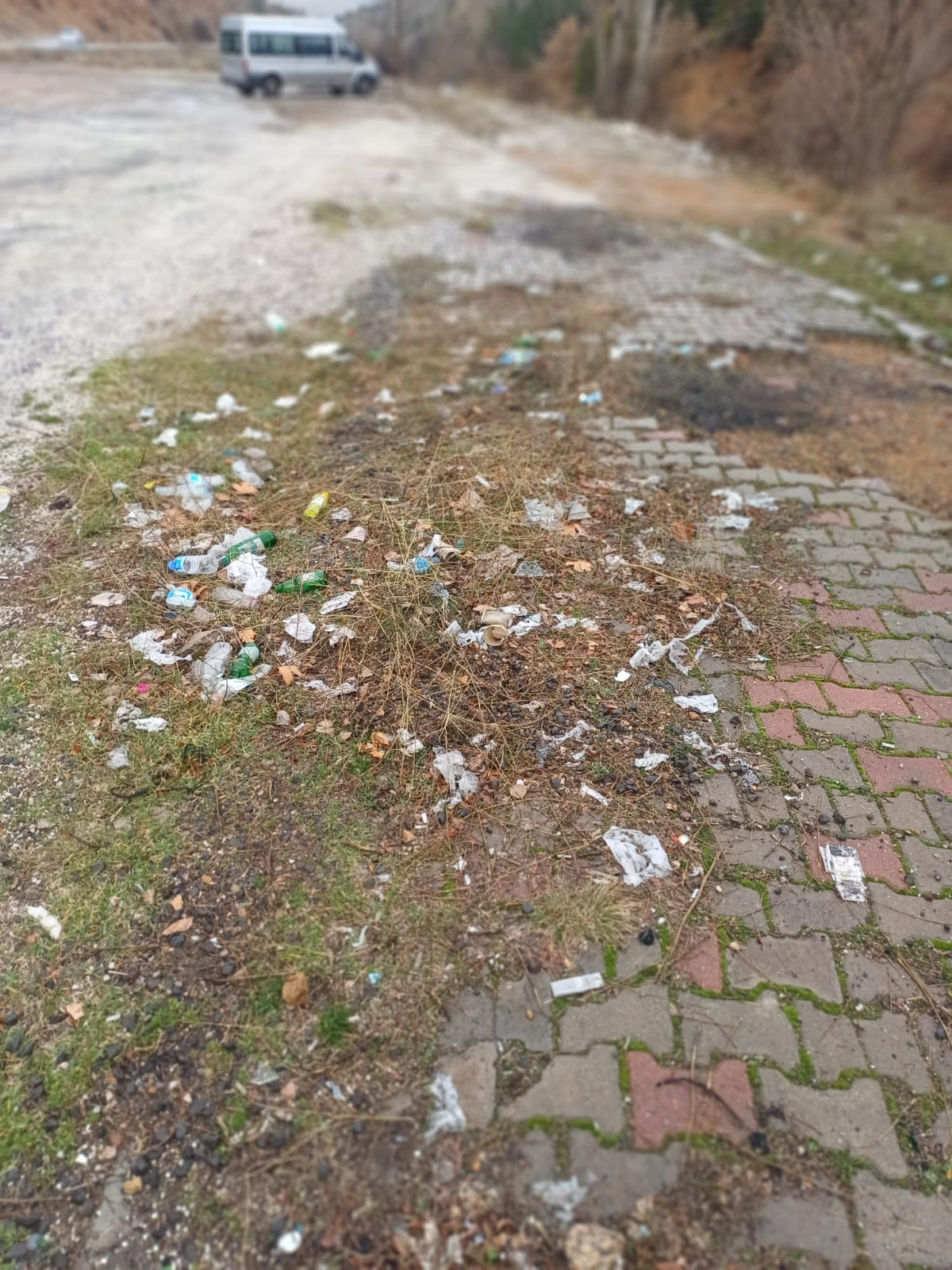 Whatsapp Image 2026 02 13 At 10.38.19(5)