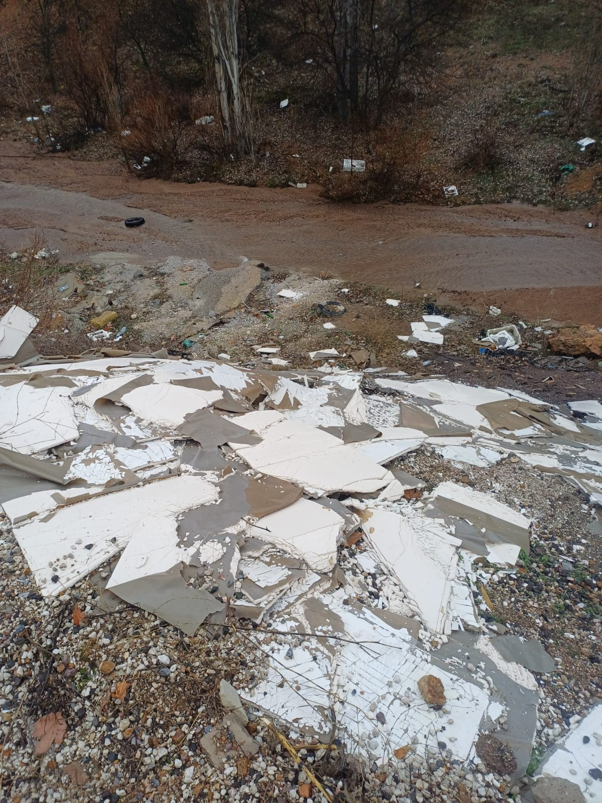 Whatsapp Image 2026 02 13 At 10.38.19(6)