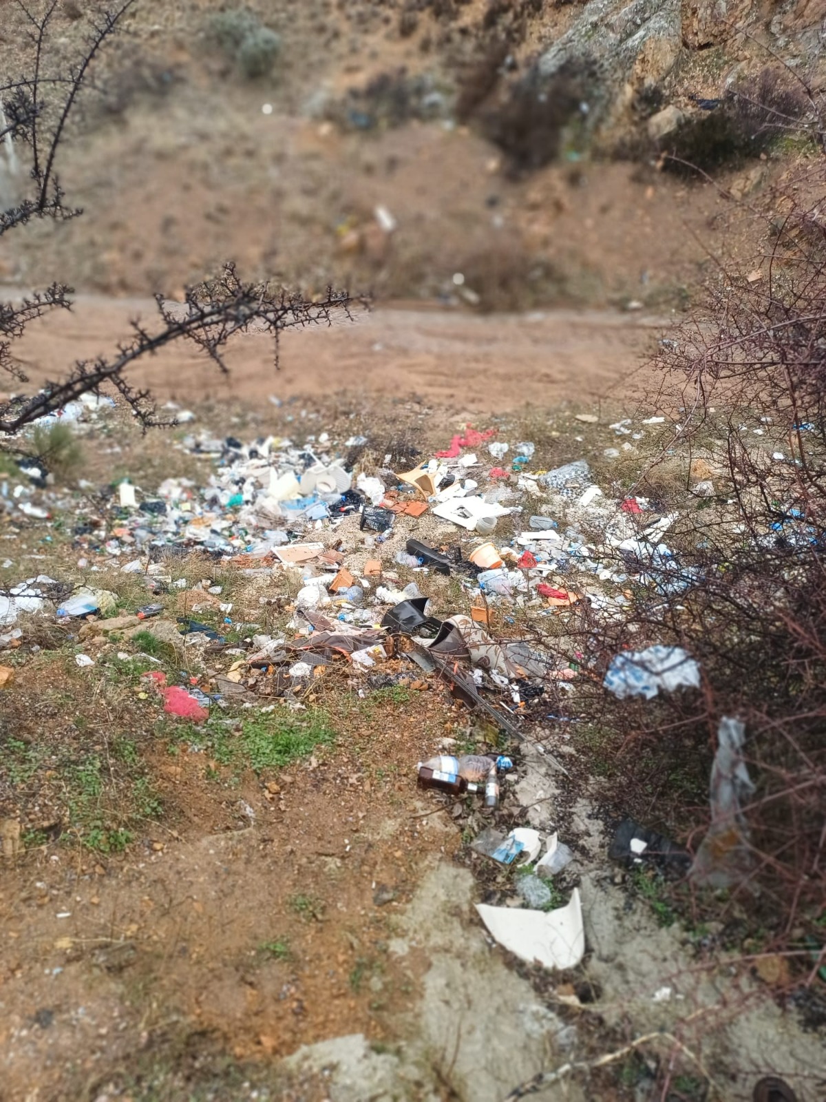 Whatsapp Image 2026 02 13 At 10.38.19(8)