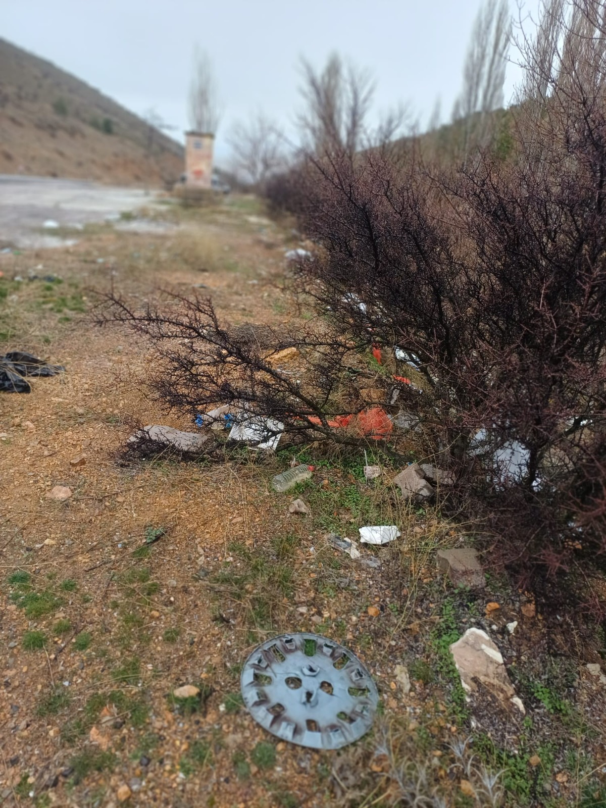 Whatsapp Image 2026 02 13 At 10.38.19(9)