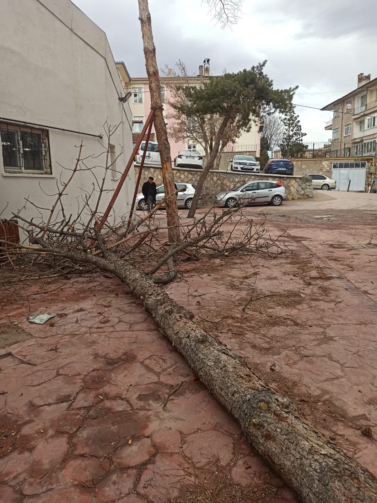 Whatsapp Image 2026 02 13 At 14.13.30 (1)