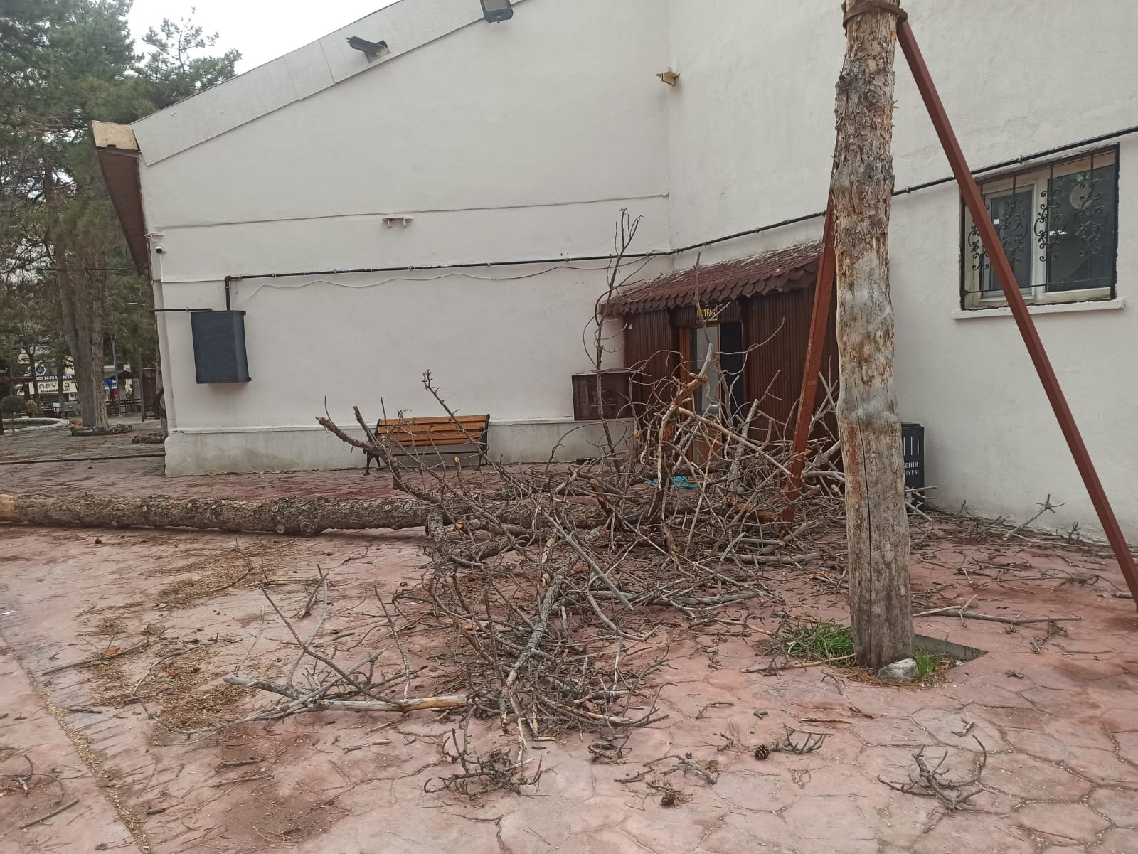 Whatsapp Image 2026 02 13 At 14.13.30 (2)