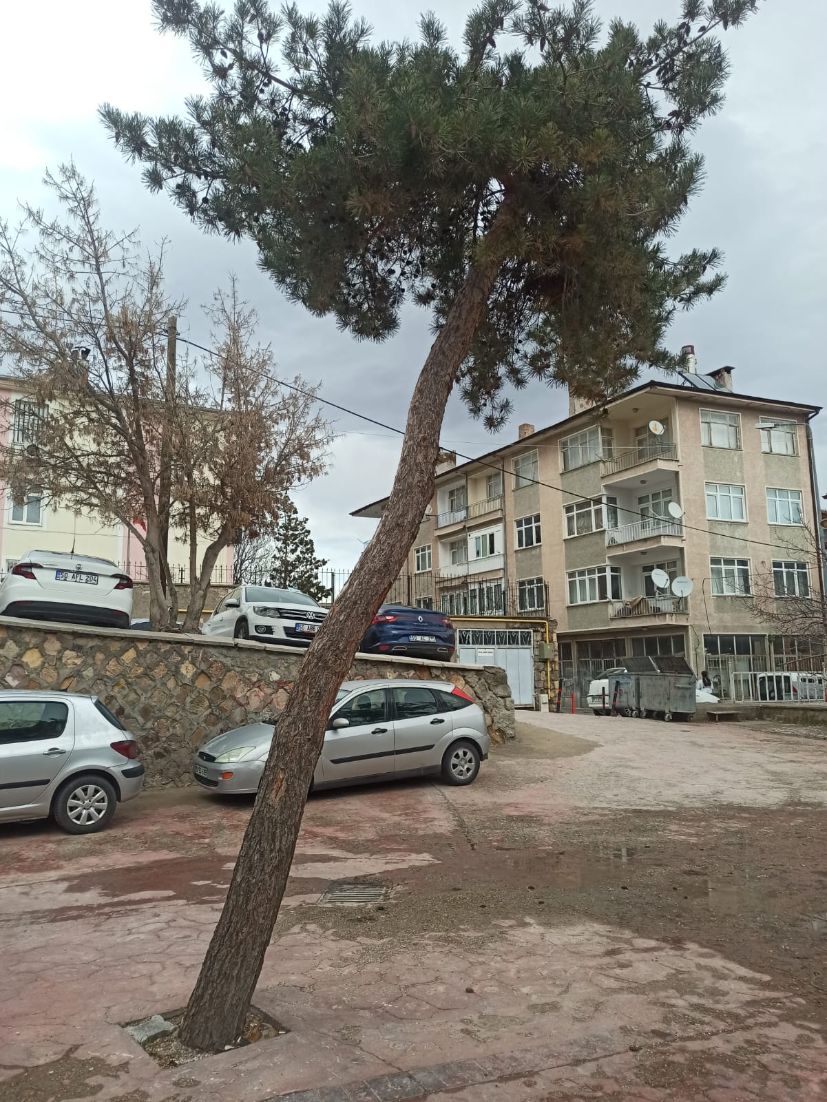 Whatsapp Image 2026 02 13 At 14.13.31