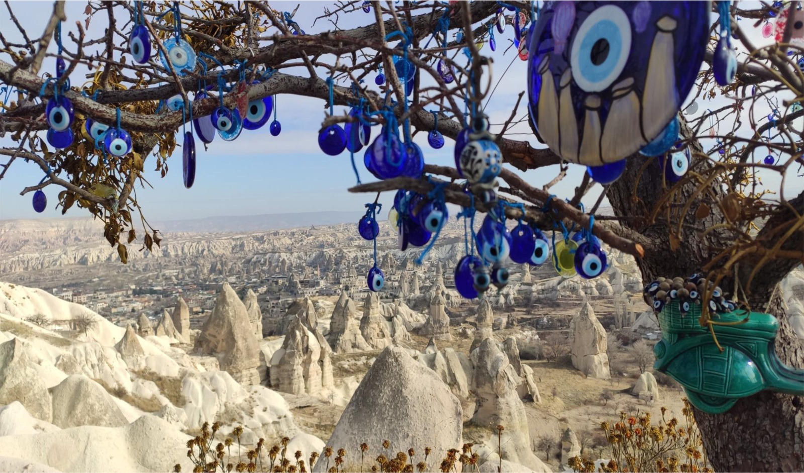 Whatsapp Image 2026 02 14 At 14.20.19 (7)