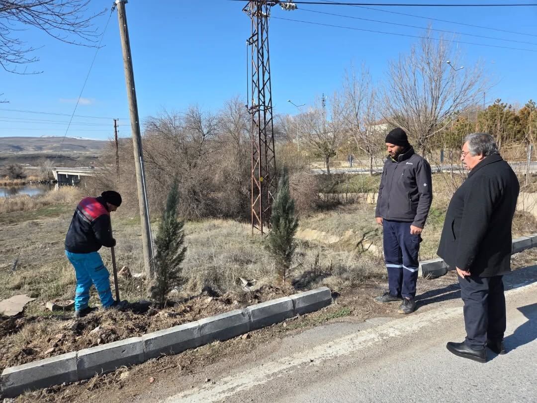 641204408 18193792636360042 9152470057323500736 N