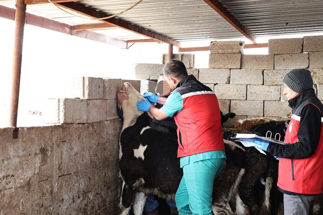 649221567 18183133087371746 3545612005403856957 N