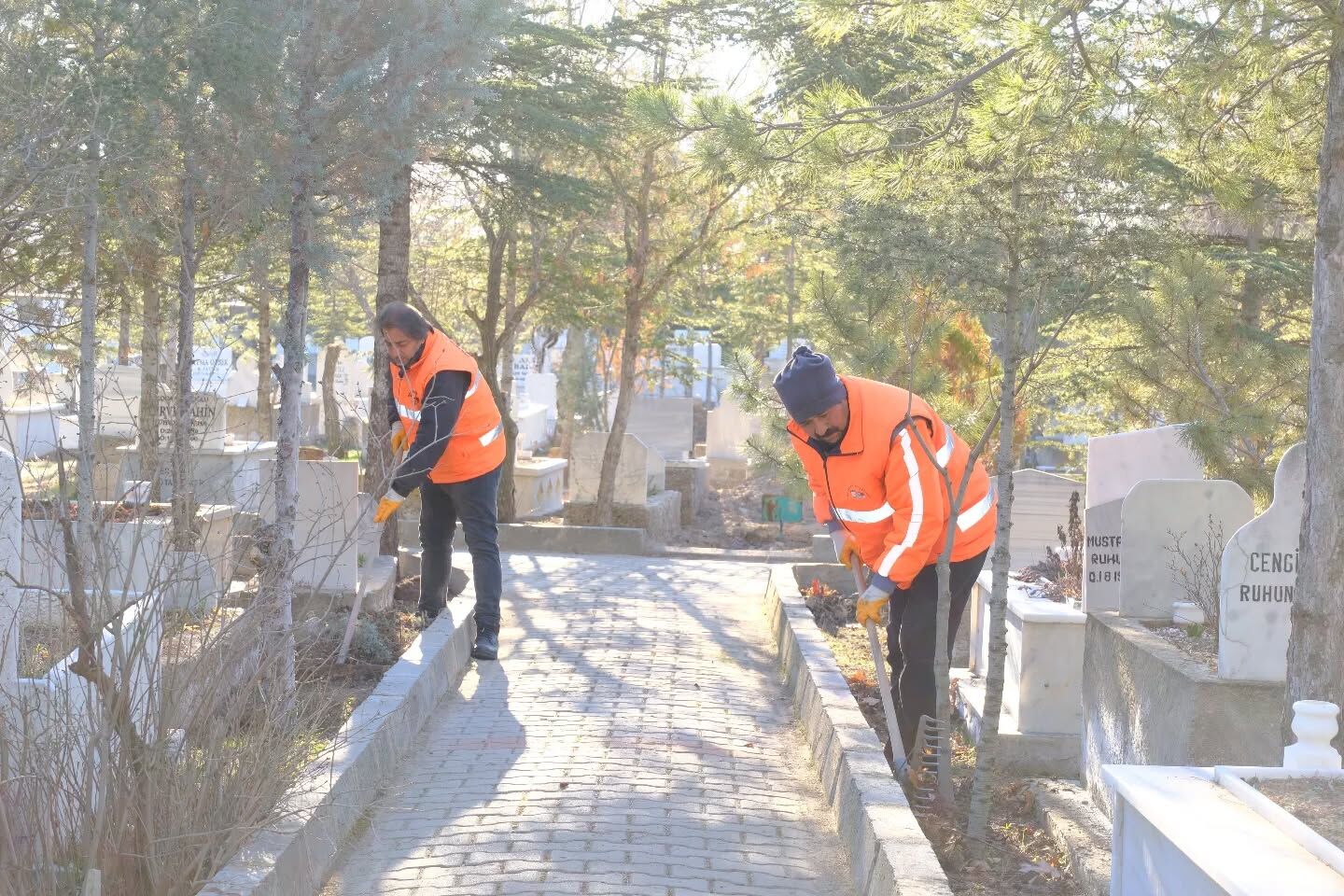 649920802 18125895454563603 1614221350502507874 N