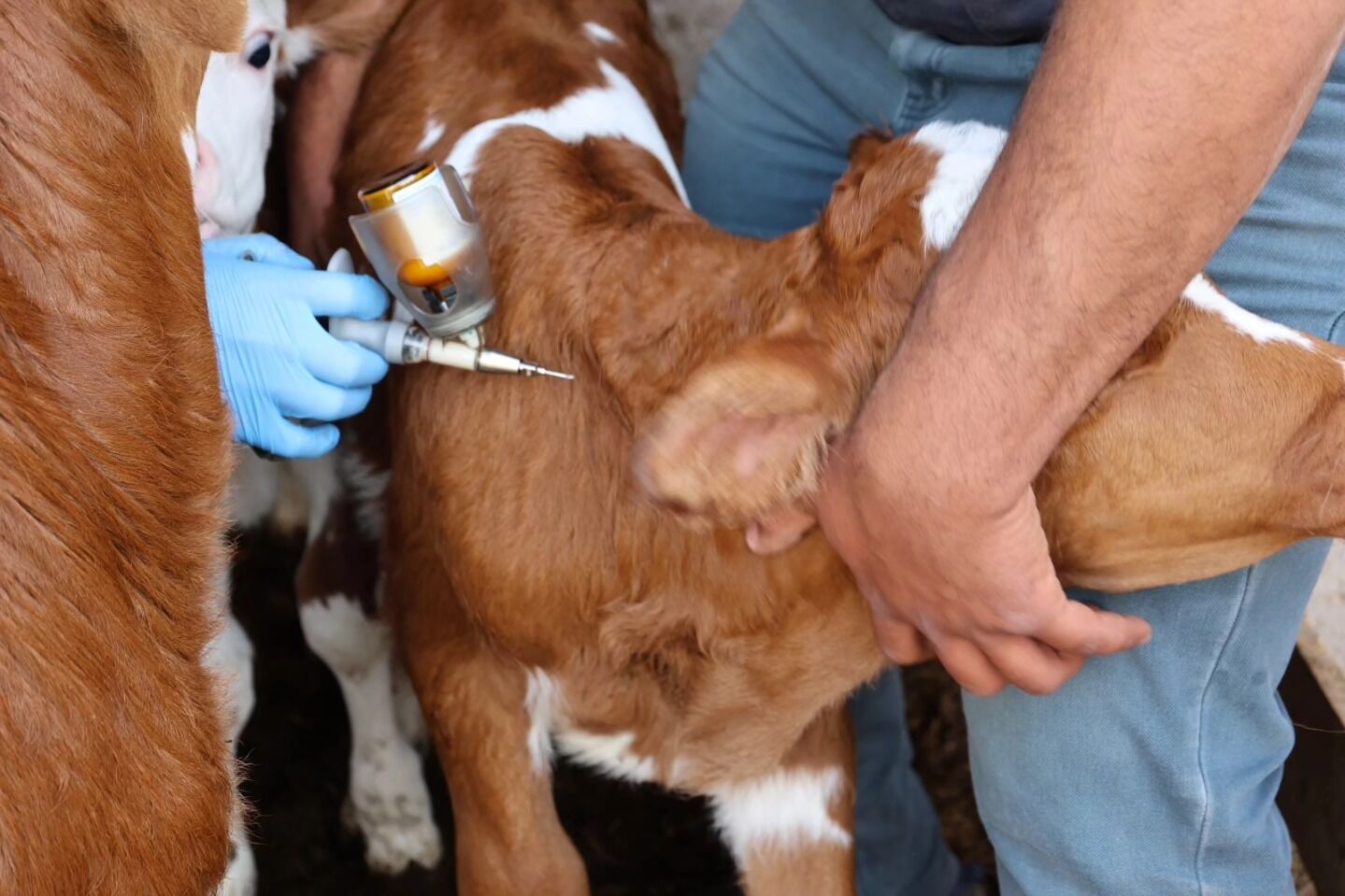 653699377 122175492026753507 5023397844516155866 N