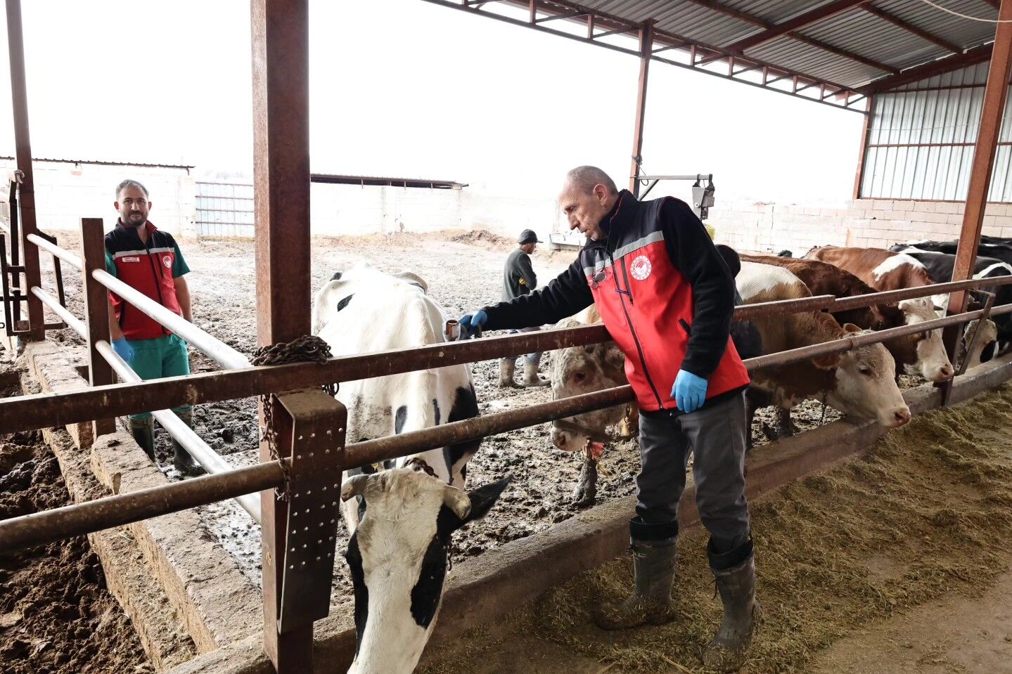 653708234 122175492044753507 6294179450565058493 N