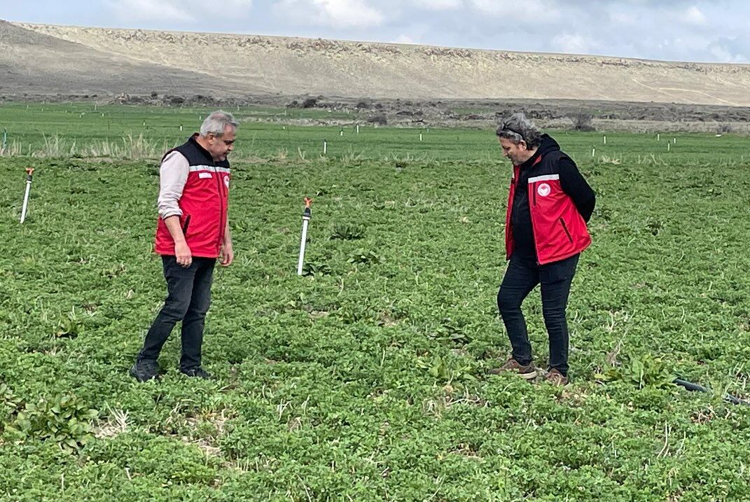 655974033 18184852819371746 2021744481421699977 N