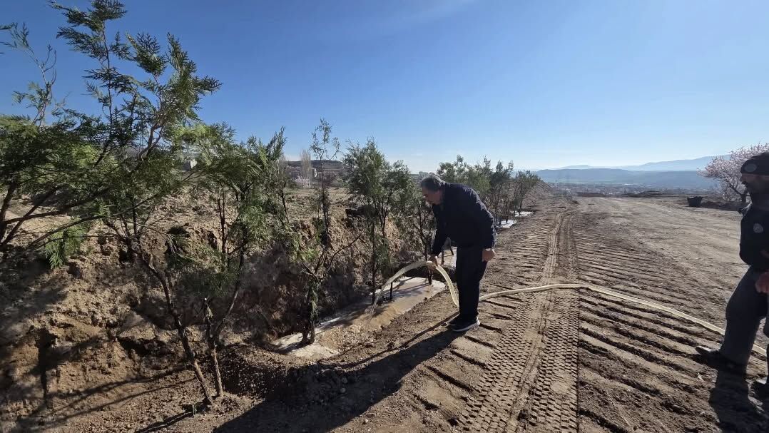 656573482 18197293564360042 3491949797292055427 N