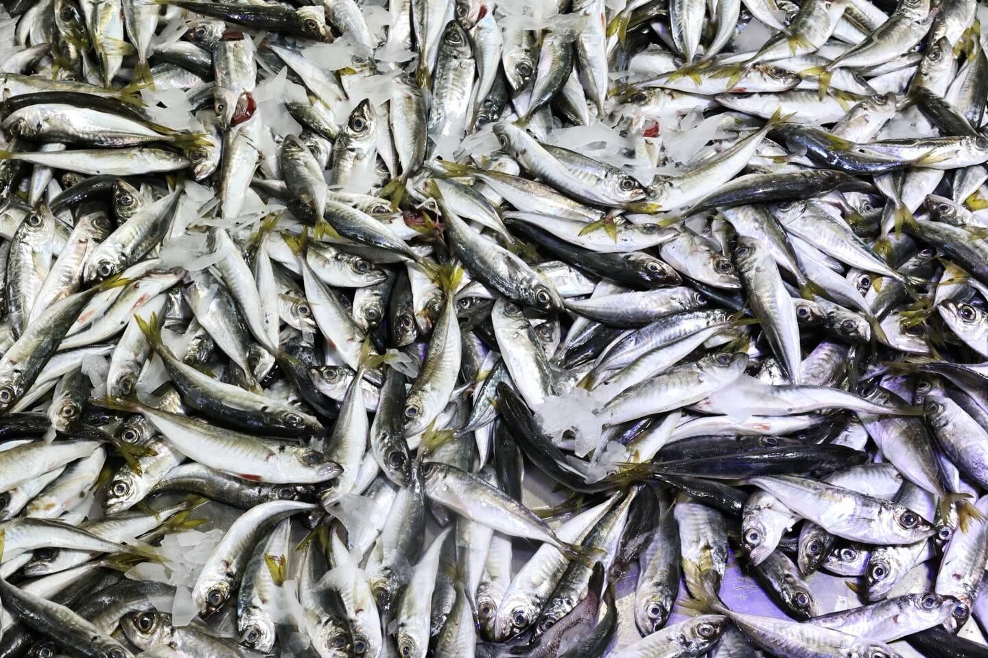 656799674 18185061076371746 1576170033501318083 N