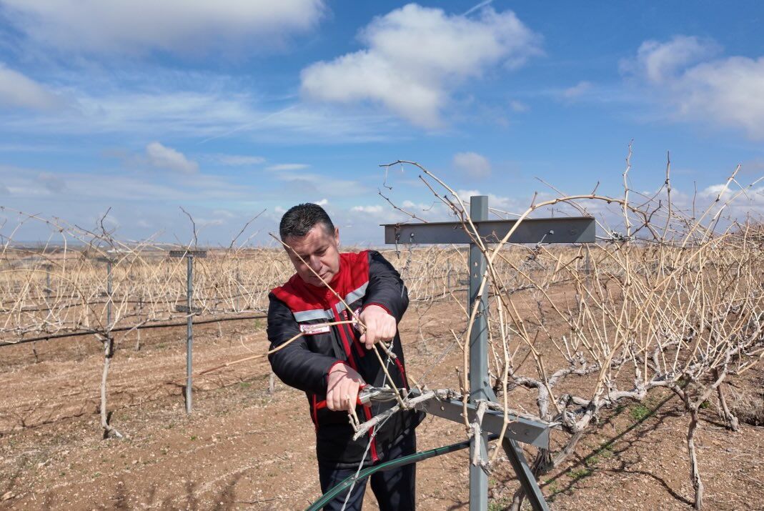 656847194 18184946041371746 2248097990032430851 N