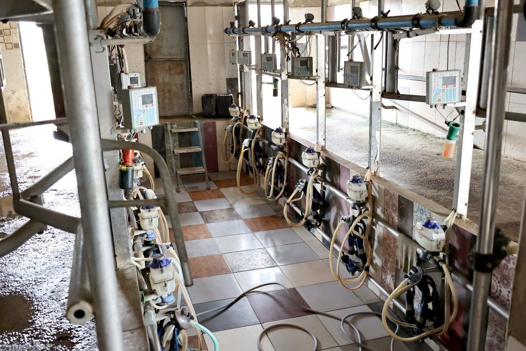 657746482 18185497096371746 1372412113413148586 N