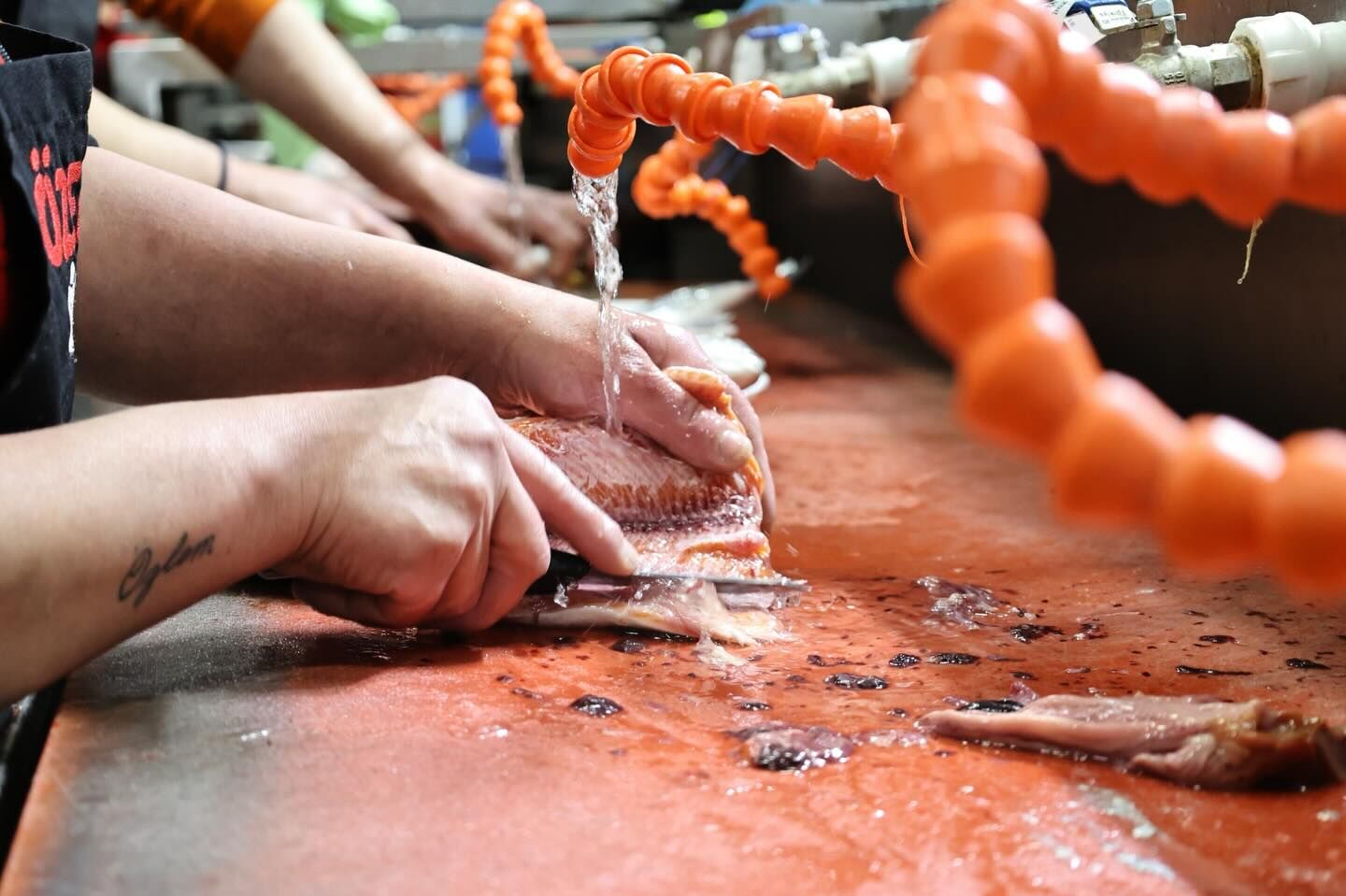 657875603 18185061055371746 8010760360490532985 N