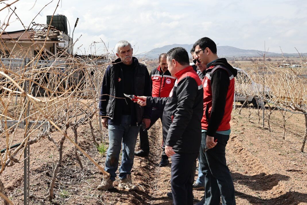 658699243 18184946011371746 8452973584488282768 N