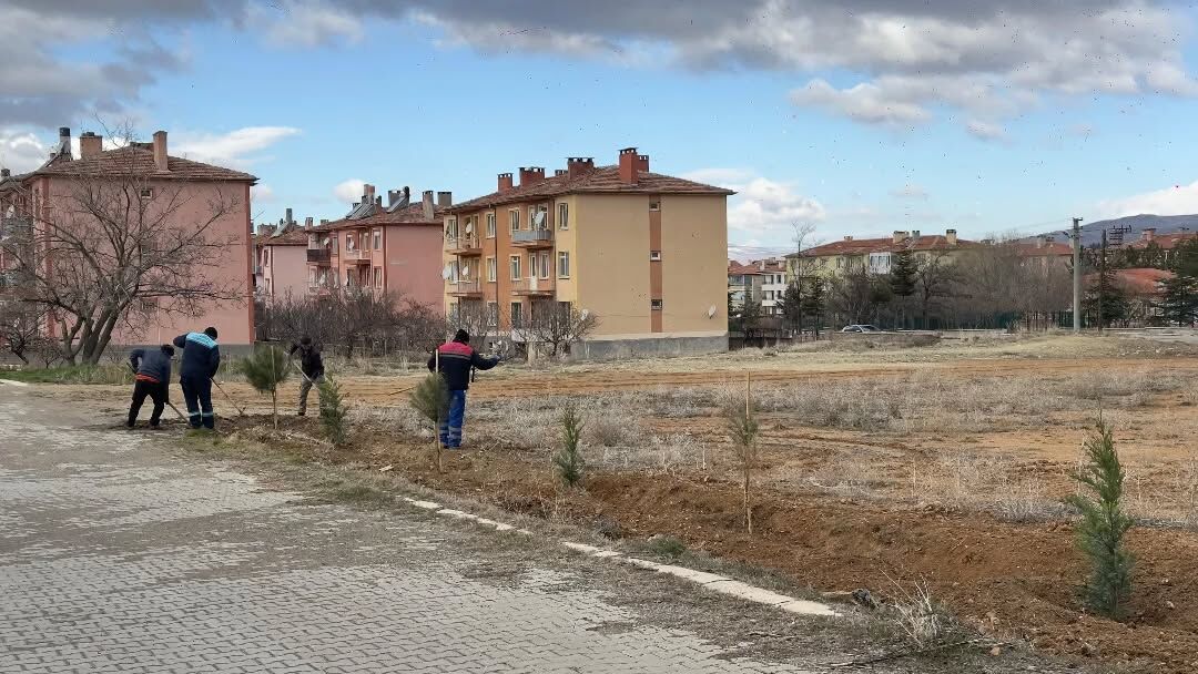 Whatsapp Image 2026 03 07 At 13.02.53 (2)