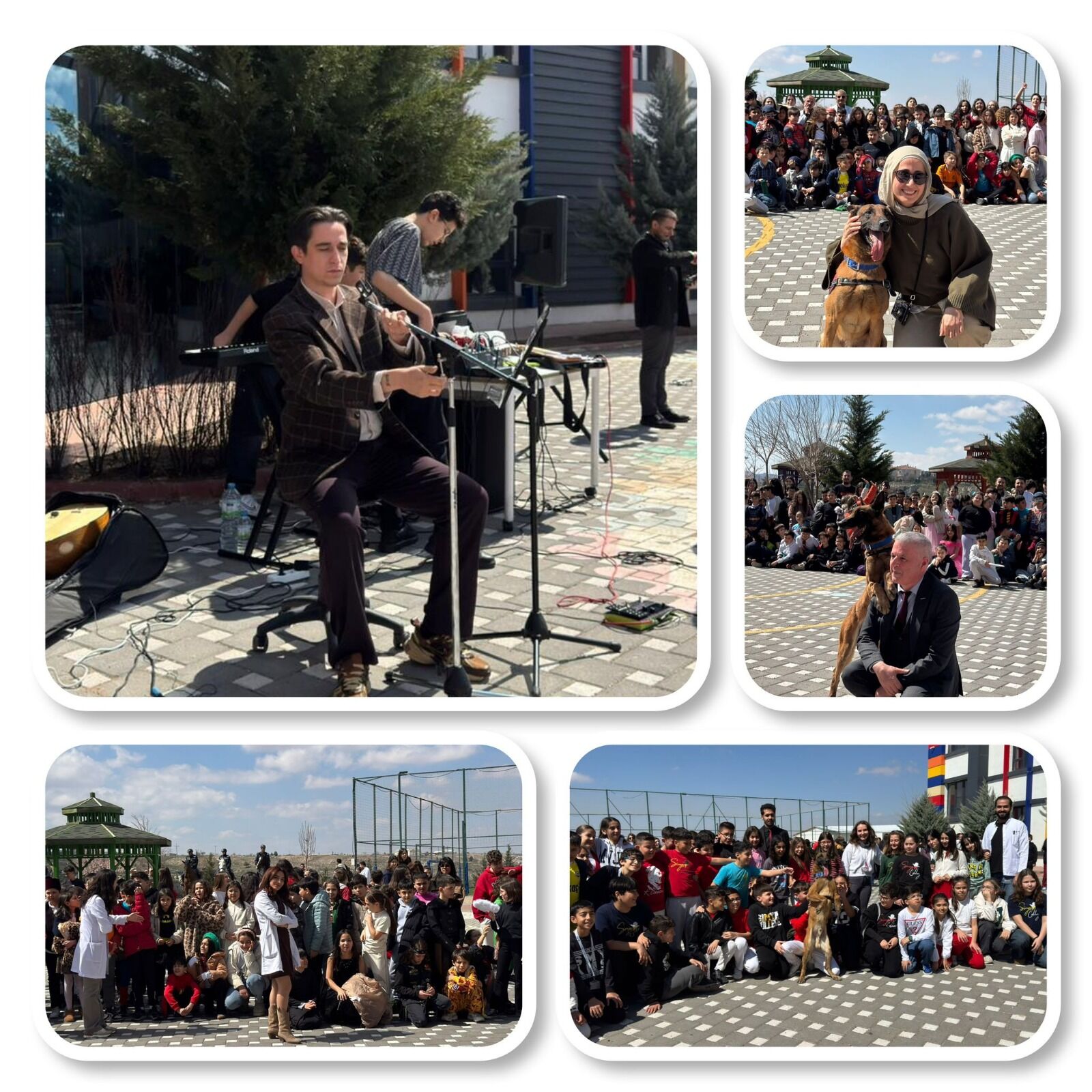 Whatsapp Image 2026 03 30 At 12.03.40(1)