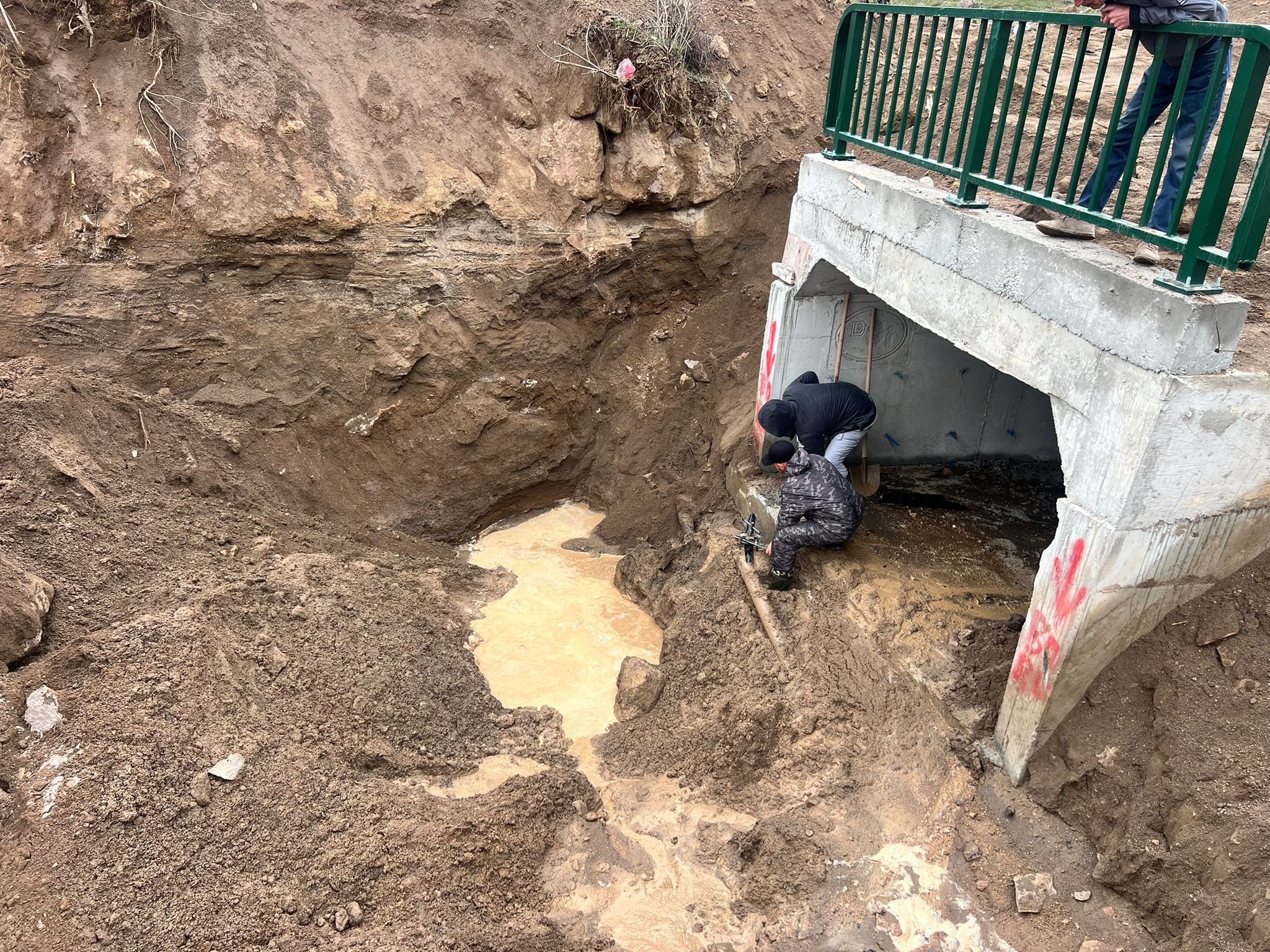 662519948 941679388500270 8486960712208891765 N