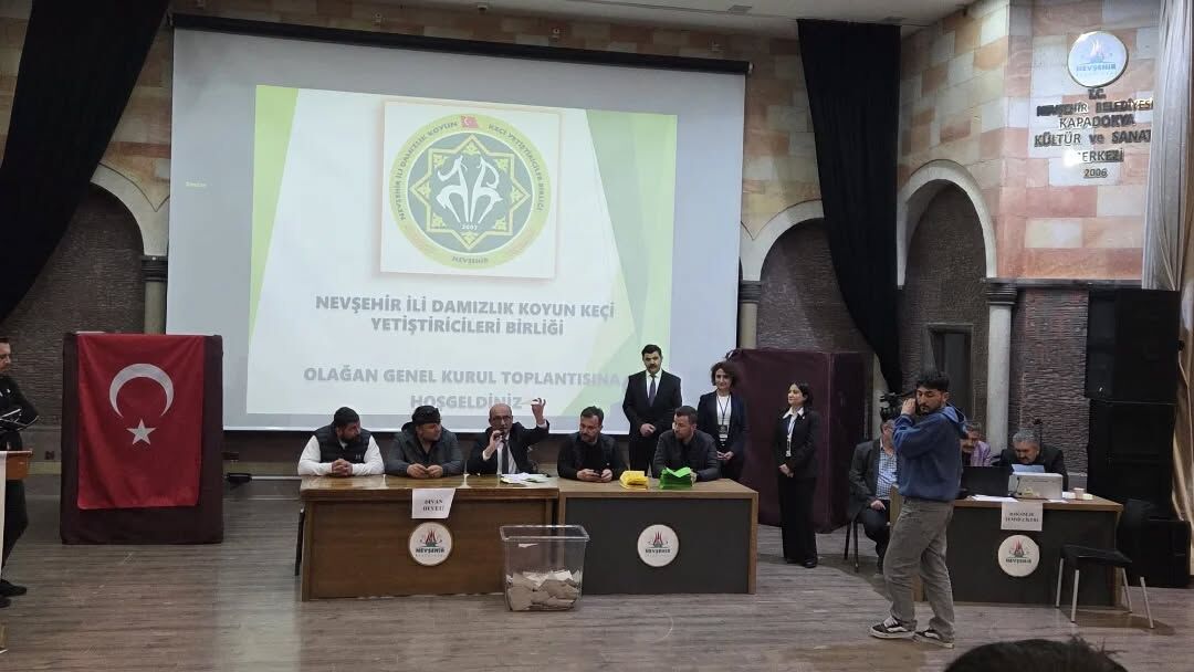 669680632 18198967099360042 2375253934826601553 N