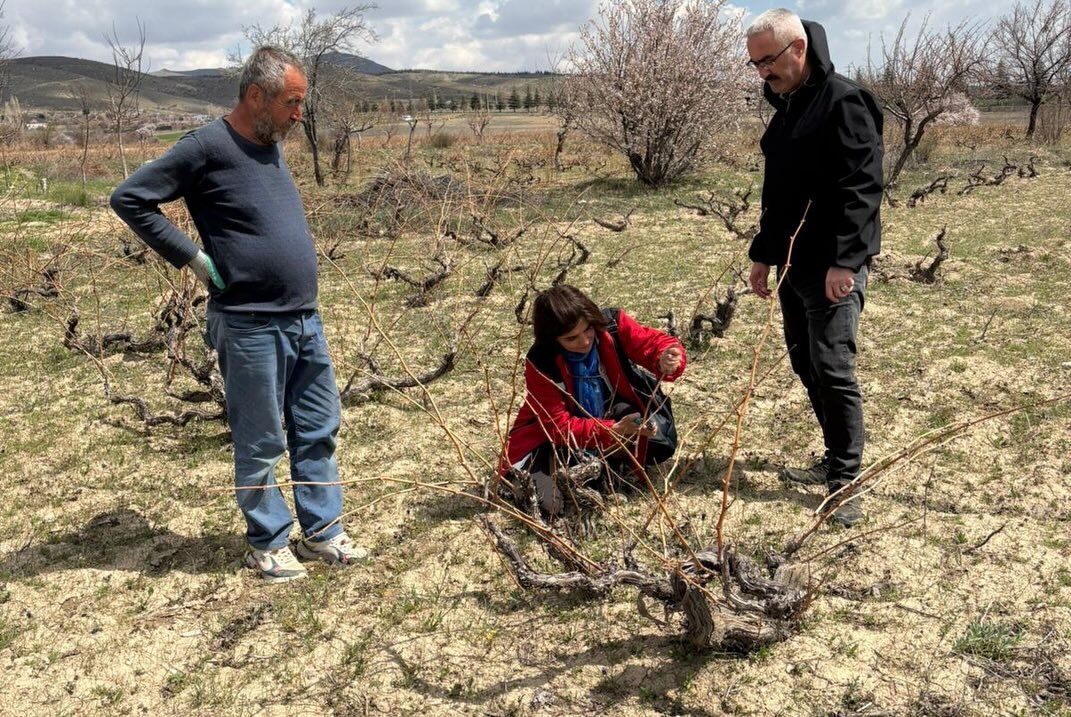 670250237 18187913815371746 763294405871851994 N