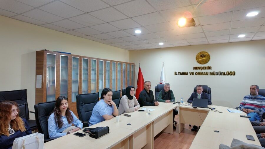 670781245 18188106217371746 6671309163271031053 N