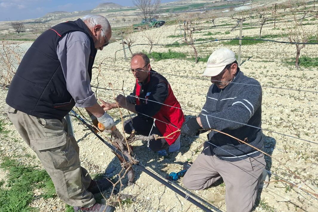 670886080 18187913797371746 5492811136532192255 N