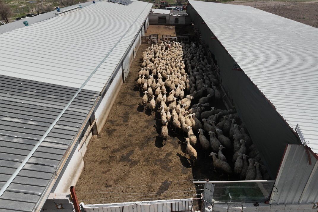 670919834 18188005531371746 6906437157143530056 N