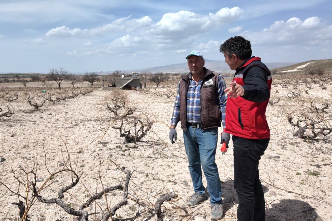 671142458 18187913761371746 5223148786203864616 N