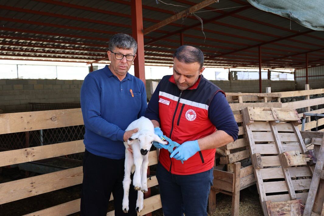 671208264 18188005543371746 1100183209516131650 N