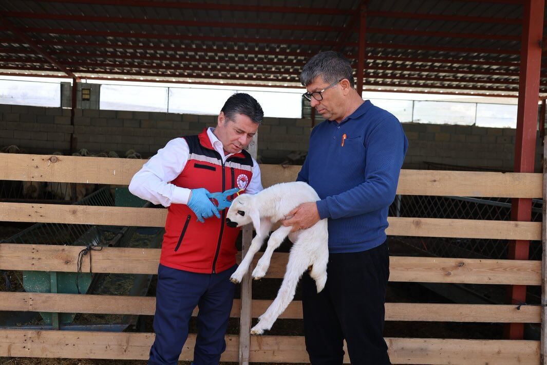 674479422 18188005534371746 1258097907508264377 N