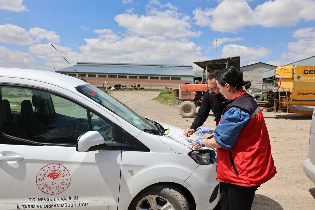 683092992 18188900434371746 5399975091092958446 N